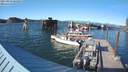 ./images/quadra/hbidock/20210810/hbidock20210810_182001M.jpg