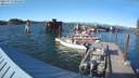 ./images/quadra/hbidock/20210810/hbidock20210810_182501M.jpg