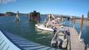./images/quadra/hbidock/20210811/hbidock20210811_172000M.jpg