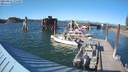 ./images/quadra/hbidock/20210811/hbidock20210811_174500M.jpg