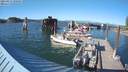 ./images/quadra/hbidock/20210811/hbidock20210811_180000M.jpg
