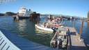 ./images/quadra/hbidock/20210811/hbidock20210811_183000M.jpg