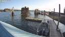 ./images/quadra/hbidock/20210819/hbidock20210819_082500M.jpg