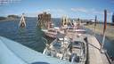 ./images/quadra/hbidock/20210821/hbidock20210821_134500M.jpg