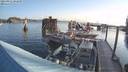 ./images/quadra/hbidock/20210822/hbidock20210822_082000M.jpg