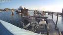 ./images/quadra/hbidock/20210822/hbidock20210822_083000M.jpg