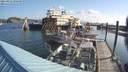 ./images/quadra/hbidock/20210822/hbidock20210822_090500M.jpg