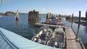 ./images/quadra/hbidock/20210822/hbidock20210822_094500M.jpg