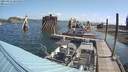 ./images/quadra/hbidock/20210822/hbidock20210822_101000M.jpg