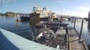 ./images/quadra/hbidock/20210823/hbidock20210823_084000M.jpg