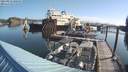 ./images/quadra/hbidock/20210823/hbidock20210823_090500M.jpg