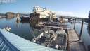 ./images/quadra/hbidock/20210823/hbidock20210823_091000M.jpg