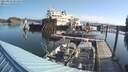 ./images/quadra/hbidock/20210823/hbidock20210823_091500M.jpg