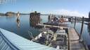 ./images/quadra/hbidock/20210823/hbidock20210823_093000M.jpg