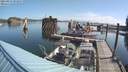 ./images/quadra/hbidock/20210823/hbidock20210823_093500M.jpg