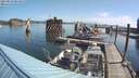 ./images/quadra/hbidock/20210823/hbidock20210823_094500M.jpg