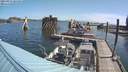 ./images/quadra/hbidock/20210823/hbidock20210823_101000M.jpg