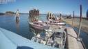 ./images/quadra/hbidock/20210823/hbidock20210823_132500M.jpg