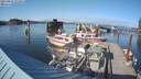 ./images/quadra/hbidock/20210823/hbidock20210823_173500M.jpg