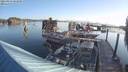 ./images/quadra/hbidock/20210824/hbidock20210824_082000M.jpg