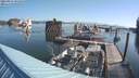 ./images/quadra/hbidock/20210824/hbidock20210824_091000M.jpg