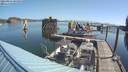 ./images/quadra/hbidock/20210824/hbidock20210824_094000M.jpg