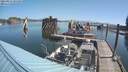 ./images/quadra/hbidock/20210824/hbidock20210824_101500M.jpg