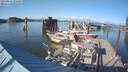 ./images/quadra/hbidock/20210824/hbidock20210824_174500M.jpg