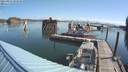 ./images/quadra/hbidock/20210825/hbidock20210825_093500M.jpg