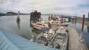 ./images/quadra/hbidock/20210825/hbidock20210825_164500M.jpg