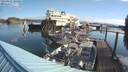./images/quadra/hbidock/20210827/hbidock20210827_092000M.jpg