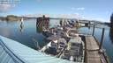 ./images/quadra/hbidock/20210827/hbidock20210827_095500M.jpg