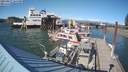 ./images/quadra/hbidock/20210827/hbidock20210827_164500M.jpg