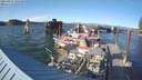 ./images/quadra/hbidock/20210827/hbidock20210827_182000M.jpg