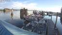 ./images/quadra/hbidock/20210828/hbidock20210828_081500M.jpg