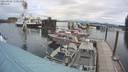 ./images/quadra/hbidock/20210828/hbidock20210828_110500M.jpg