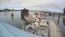 ./images/quadra/hbidock/20210828/hbidock20210828_154500M.jpg