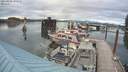 ./images/quadra/hbidock/20210828/hbidock20210828_190500M.jpg