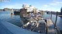 ./images/quadra/hbidock/20210829/hbidock20210829_090500M.jpg