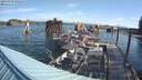 ./images/quadra/hbidock/20210829/hbidock20210829_092500M.jpg