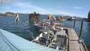 ./images/quadra/hbidock/20210829/hbidock20210829_103000M.jpg
