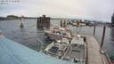 ./images/quadra/hbidock/20210831/hbidock20210831_122000M.jpg