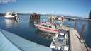 ./images/quadra/hbidock/20210901/hbidock20210901_150500M.jpg