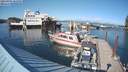 ./images/quadra/hbidock/20210901/hbidock20210901_163500M.jpg