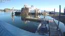 ./images/quadra/hbidock/20210902/hbidock20210902_090500M.jpg