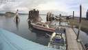 ./images/quadra/hbidock/20210905/hbidock20210905_113000M.jpg