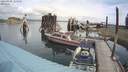 ./images/quadra/hbidock/20210905/hbidock20210905_115000M.jpg