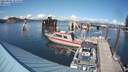 ./images/quadra/hbidock/20210905/hbidock20210905_154500M.jpg