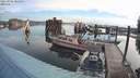 ./images/quadra/hbidock/20210906/hbidock20210906_082500M.jpg