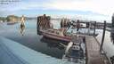 ./images/quadra/hbidock/20210906/hbidock20210906_083000M.jpg